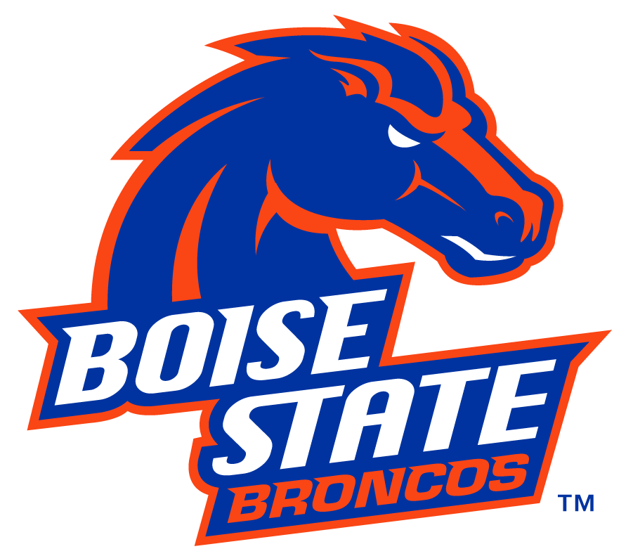 Boise State Broncos 2012-2013 Secondary Logo v2 diy DTF decal sticker